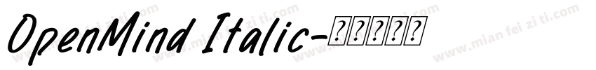 OpenMind Italic字体转换